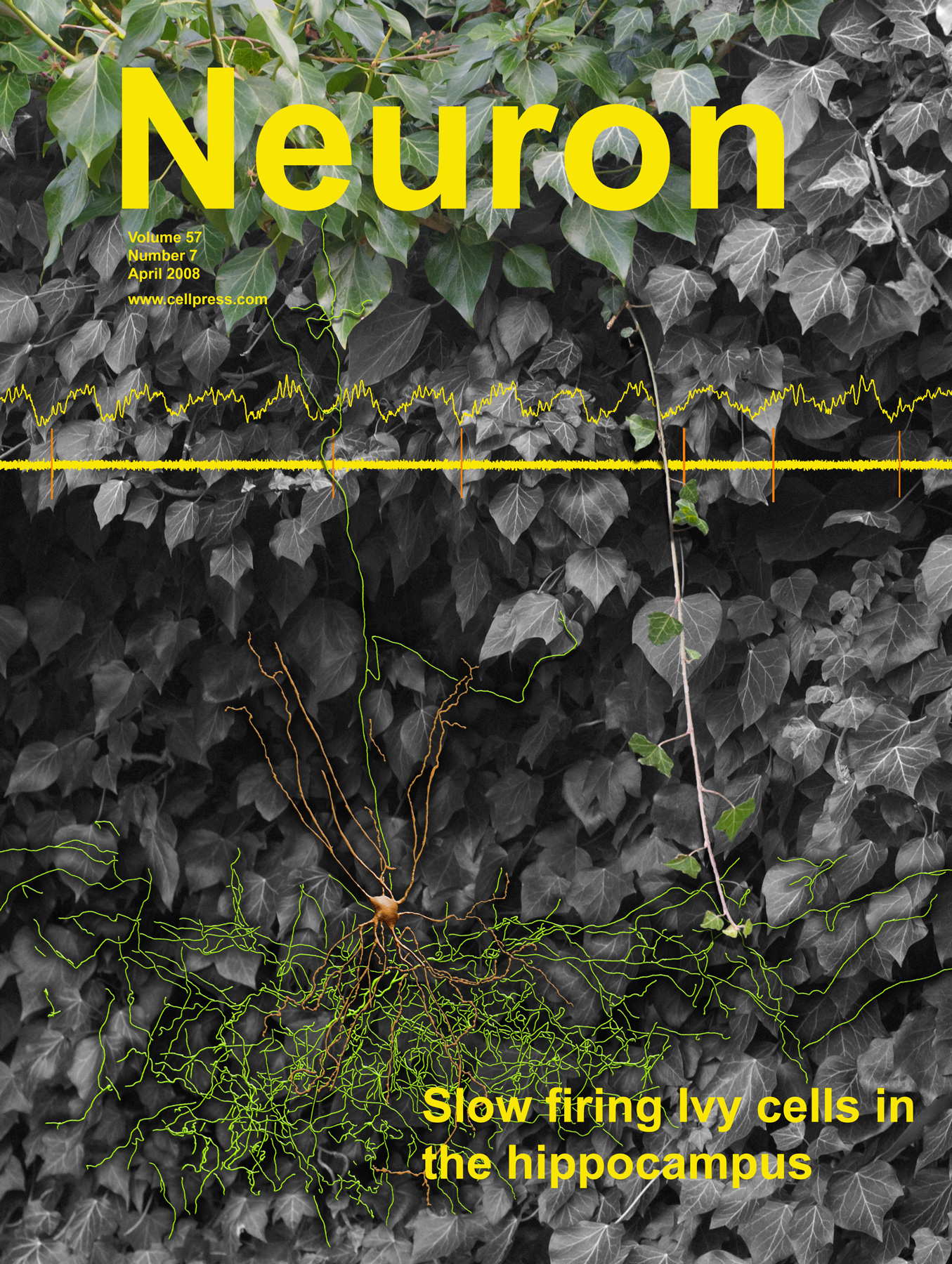 Neuron Ivy Cell Cover 2008