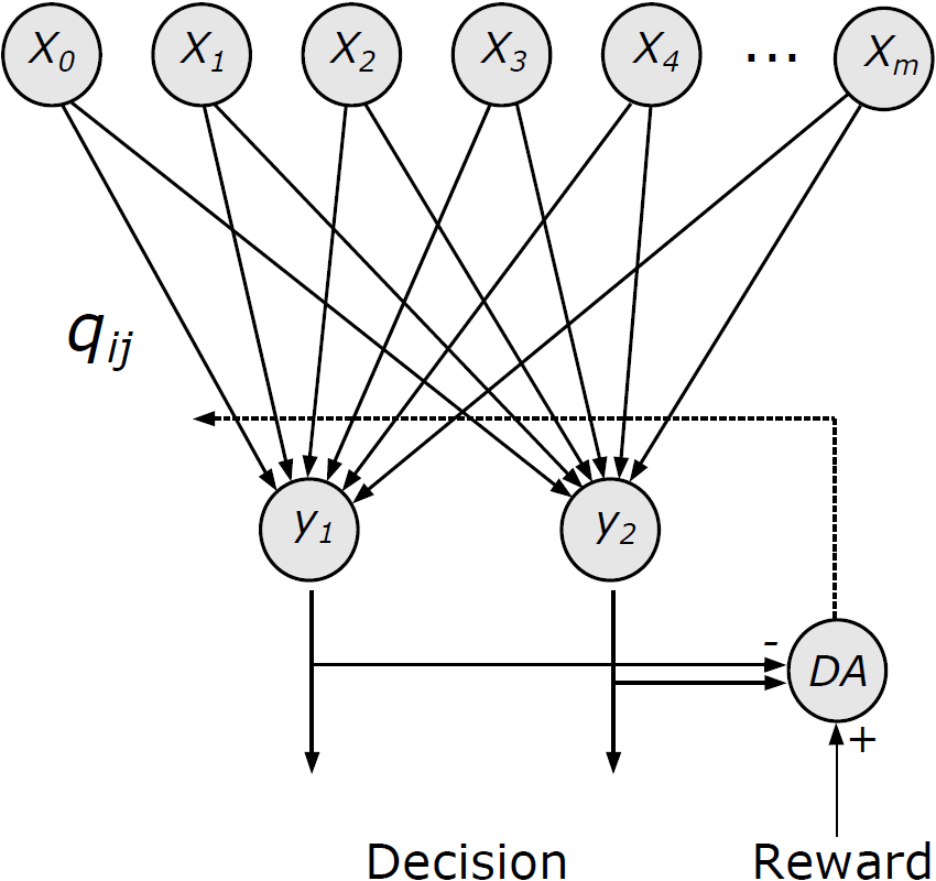 Neural Circuits Trained with Standard Reinforcement Learning Can Accumulate Probabilistic Information during Decision Making.