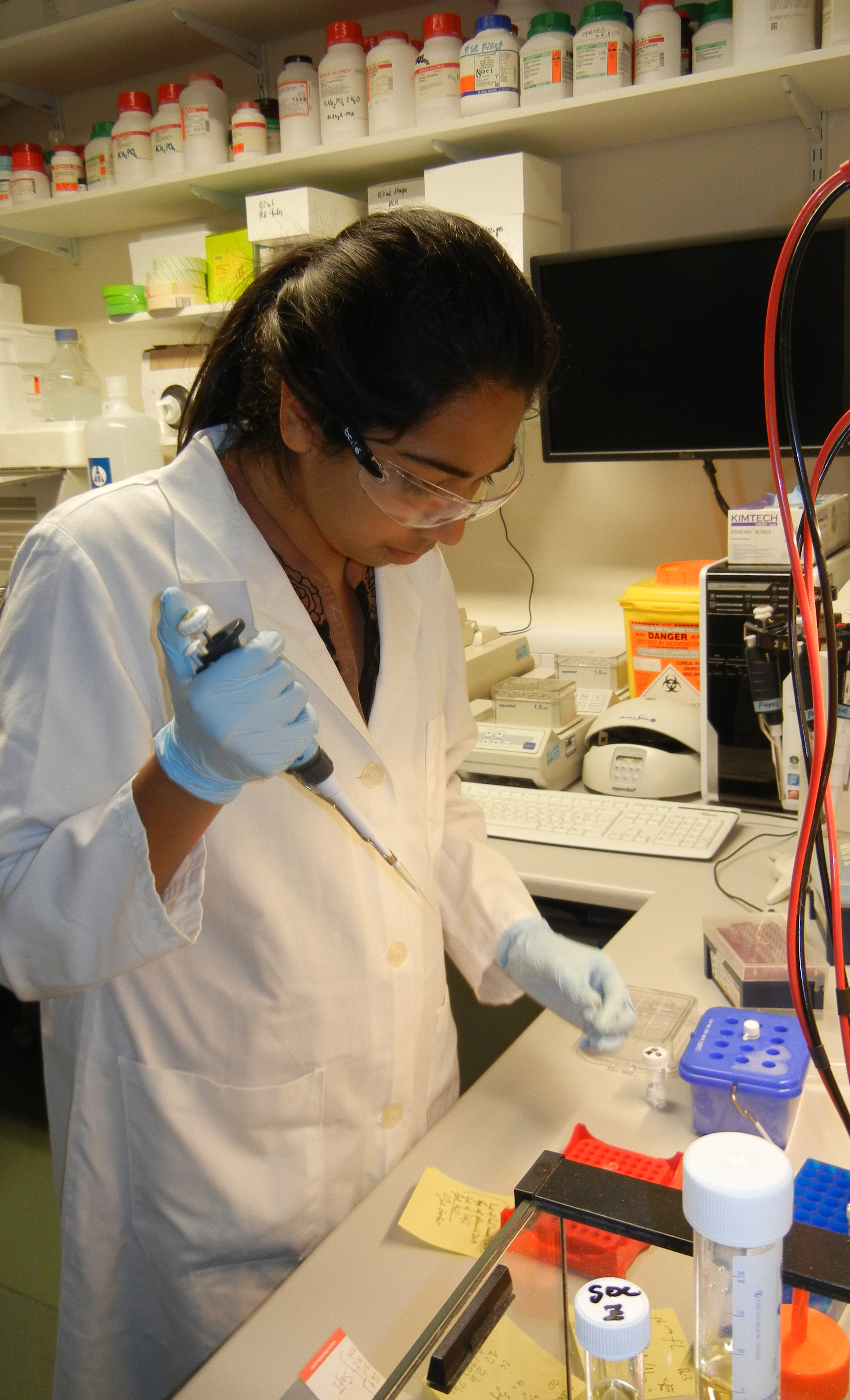 In2scienceUK student Zara working on some molecular biology experiments at the MRC BNDU.